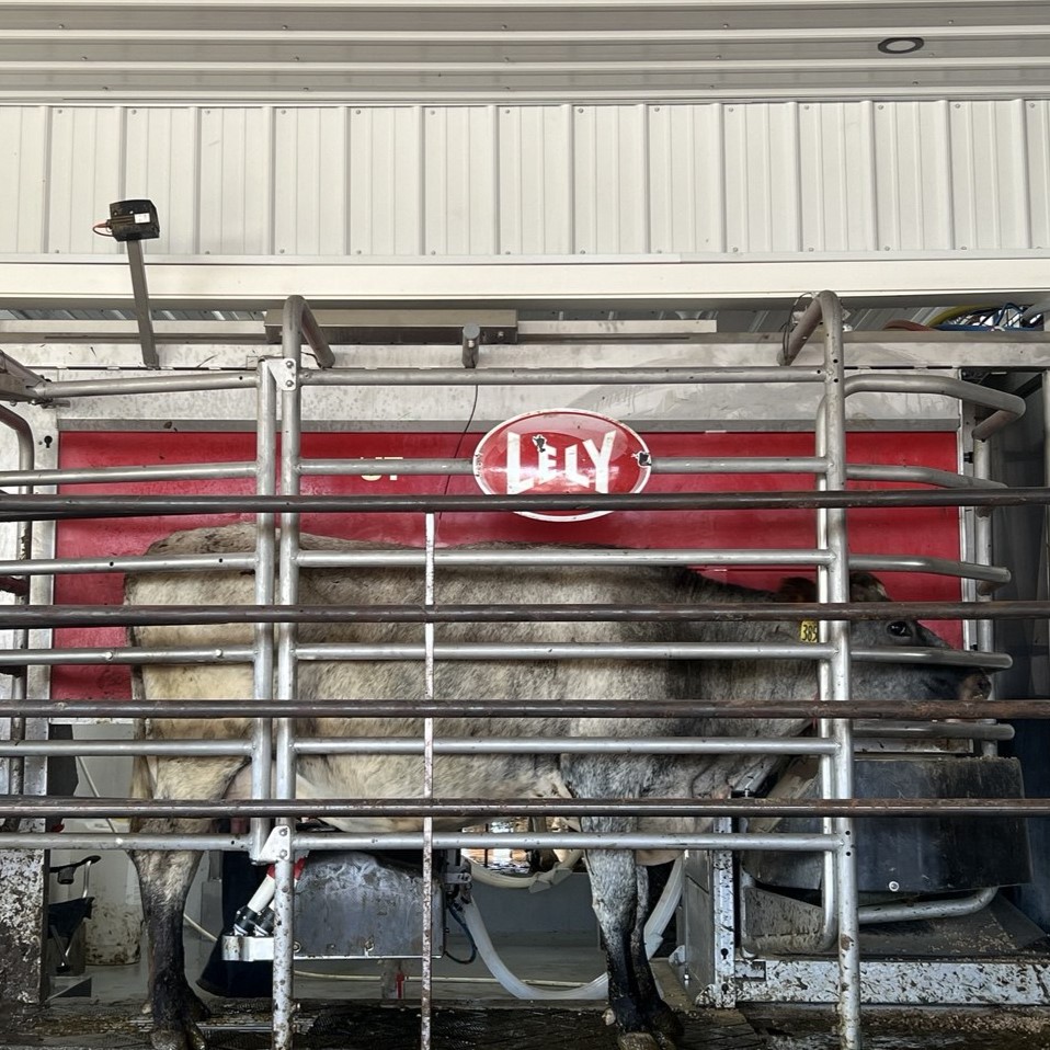 A4’s for Marsh Dairy, LLC